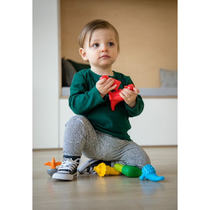 My First Dinosaurs | SmartMax
