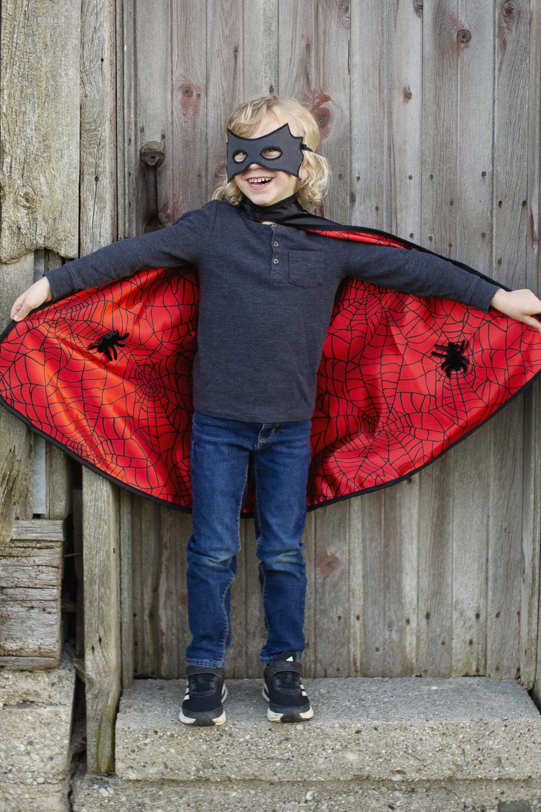 Reversible Spider/Bat Cape | Great Pretenders