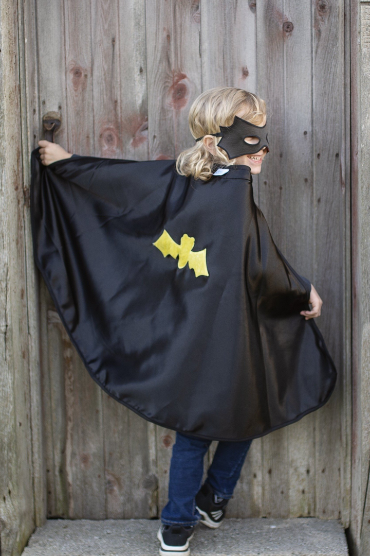 Reversible Spider/Bat Cape | Great Pretenders