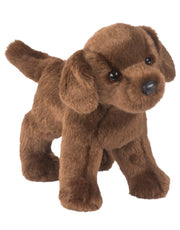 Tucker Chocolate Lab | Douglas